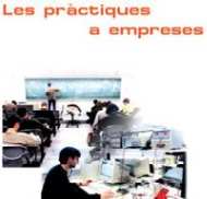 Pr__ctiques_a_empreses.png