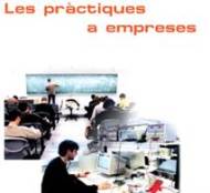 Les pràctiques a empreses